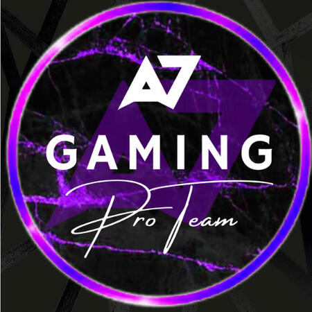 Pro Team - Top 100 Grand Champion Competitive Team